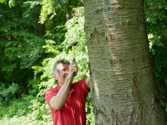 Rudi Zülch markiert den Weg im Auftrag der Knüll Touristik