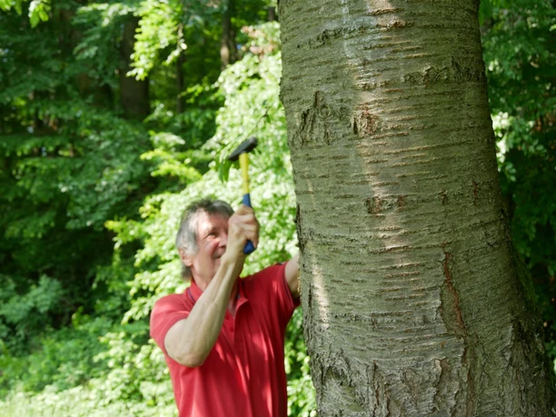 Rudi Zülch markiert den Weg im Auftrag der Knüll Touristik