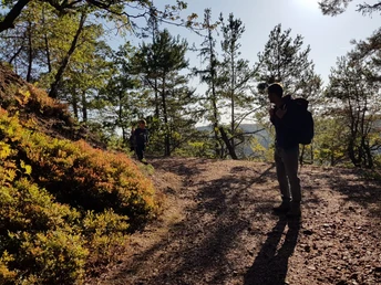 Auf dem Weg hinauf auf den Burgberg