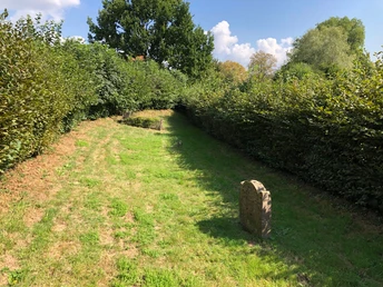 Jüdischer Friedhof Bega CC BY-SA - LTM.JPG