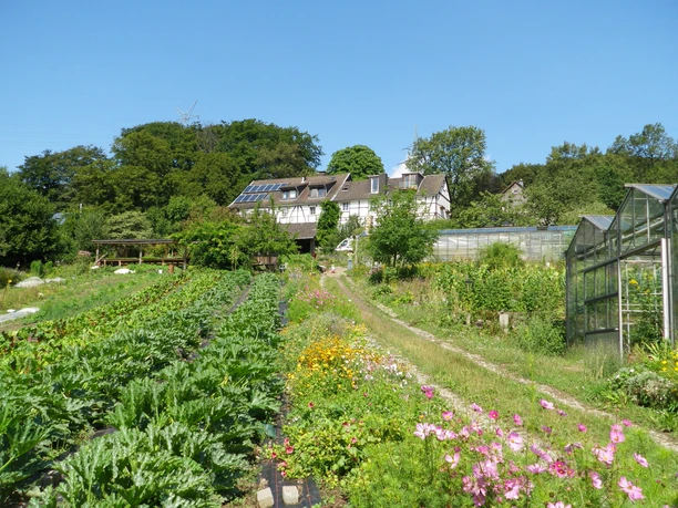 Örkhof im Windrather Tal bei Velbert-Langenberg Historischer Bauernhof mit Solarpanelen, umgeben von Feldern, Blumen und einem Gewächshaus im Hintergrund.