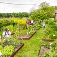 Kräutergarten der Biologischen Station von Haus Bürgel in Monheim am Rhein Besucher:innen erkunden gepflegte Kräuterbeete in einem weitläufigen Garten, umgeben von Natur.
