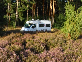 Stellplatz Schwindebecker Heide Weißes Wohnmobil parkt in blühender Heide vor einem Kiefernwald.