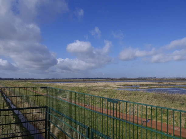 Schlickfelder Aussichtspunkt Westoverledingen Natur Ostfriesland Urlaub Schlickfelder Aussichtspunkt Westoverledingen Natur Ostfriesland Urlaub