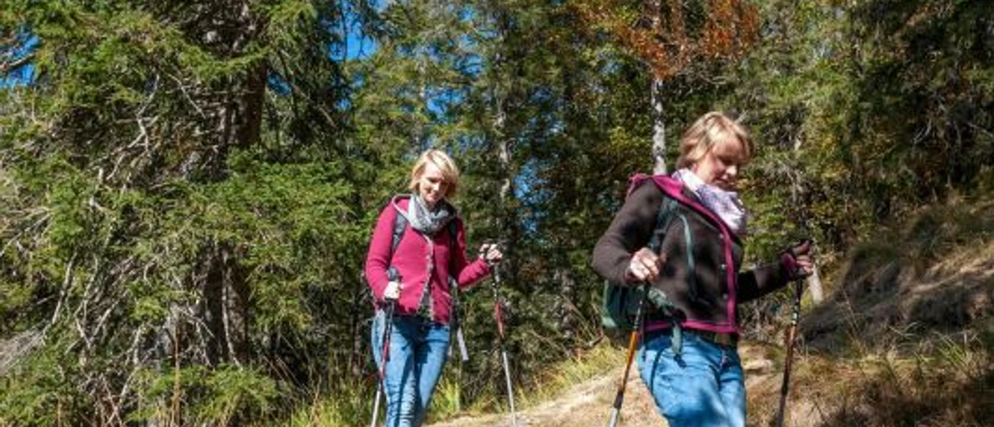 Begleitete Wanderung über Buckelwiesen, Römerweg nach Klais