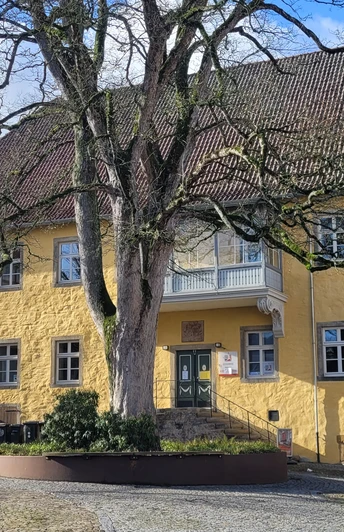 Gelbes Steingebäude mit Fassade, zentralem Baum, blauen Fensterläden und Kopfsteinpflaster.