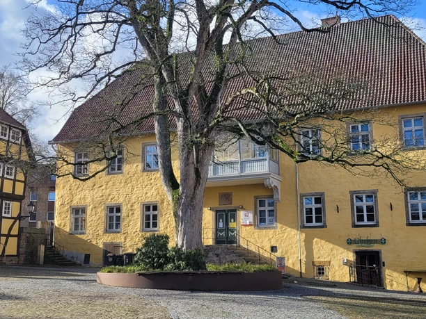 Gelbes Steingebäude mit Fassade, zentralem Baum, blauen Fensterläden und Kopfsteinpflaster.