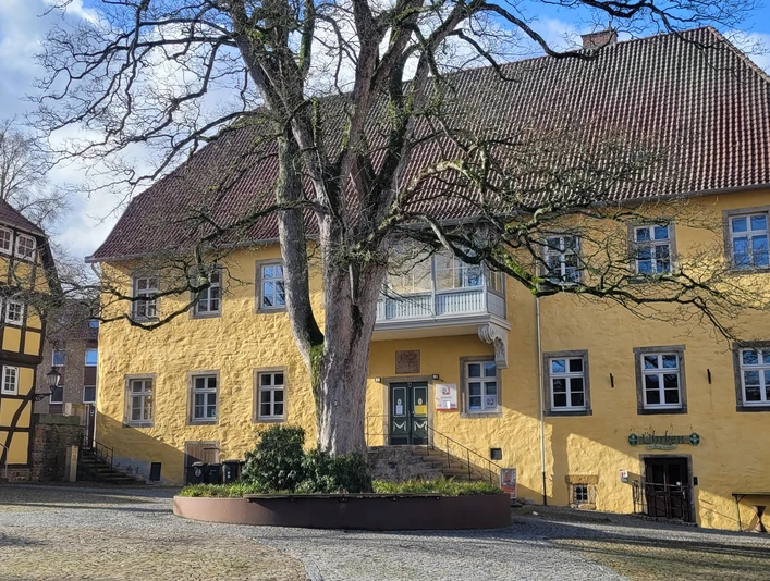 Gelbes Steingebäude mit Fassade, zentralem Baum, blauen Fensterläden und Kopfsteinpflaster.