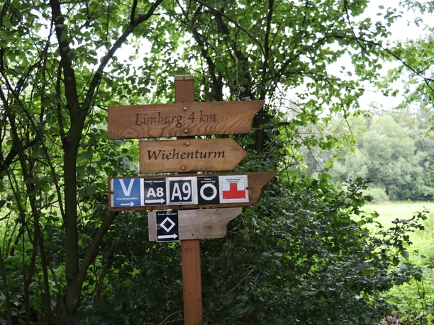 Wegweiser zum Wiehenturm Ein hölzerner Wegweiser im Wald zeigt Richtung Wiehenturm, umrahmt von dichtem Blattwerk.