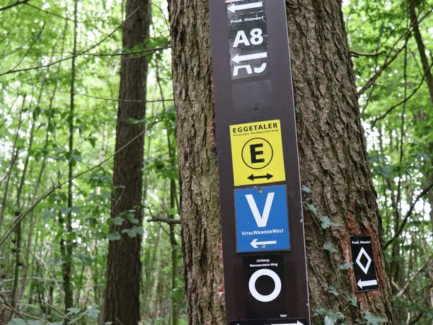 Wegweiser Eggetaler Panoramaweg.JPG Wegweiser an einem Baumstamm im dichten, grünen Wald, markiert den Start des Eggetaler Panoramawegs.