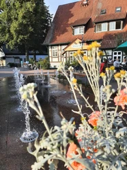 Marktschänke Rahden Springbrunnen mit Wasserspielen, Blumen im Vordergrund, historisches Fachwerkgebäude im Hintergrund.