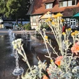 Marktschänke Rahden Springbrunnen mit Wasserspielen, Blumen im Vordergrund, historisches Fachwerkgebäude im Hintergrund.