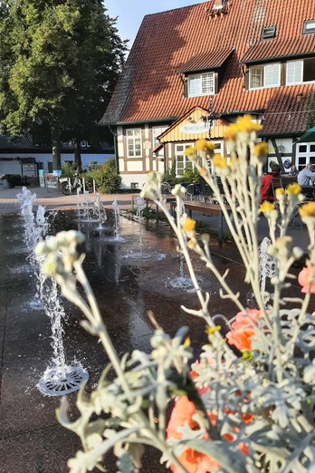 Marktschänke Rahden Springbrunnen mit Wasserspielen, Blumen im Vordergrund, historisches Fachwerkgebäude im Hintergrund.