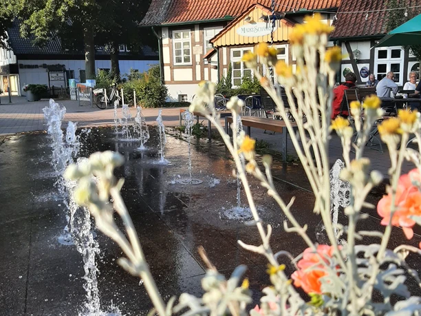 Marktschänke Rahden Springbrunnen mit Wasserspielen, Blumen im Vordergrund, historisches Fachwerkgebäude im Hintergrund.