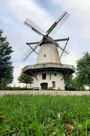Historische Windmühle Tonnenheide mit weißem Turm, umliegendem Grün und blauem Himmel.