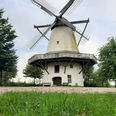 Windmühle Tonnenheide Historische Windmühle Tonnenheide mit weißem Turm, umliegendem Grün und blauem Himmel.
