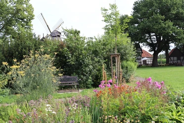Windmühle Levern Eine historische Windmühle im Hintergrund, umgeben von bunten Blumen und grünen Bäumen.