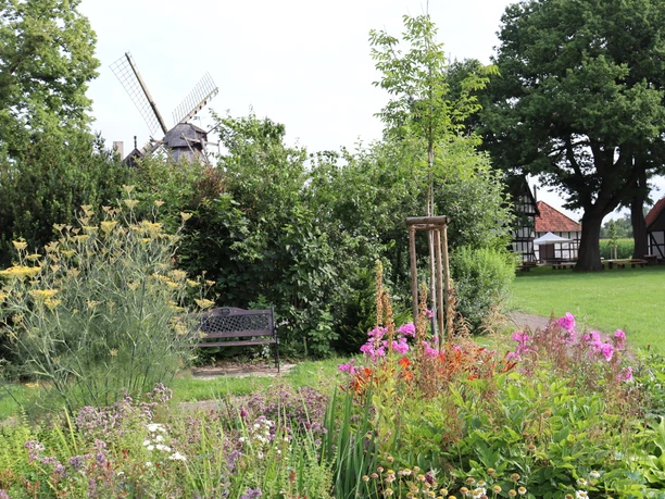 Windmühle Levern Eine historische Windmühle im Hintergrund, umgeben von bunten Blumen und grünen Bäumen.