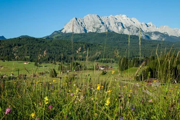 Kräuterwanderung