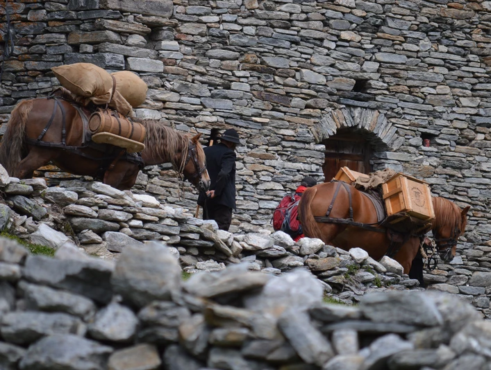 Säumer Trekking auf dem Simplon Säumer Trekking auf dem Simplon