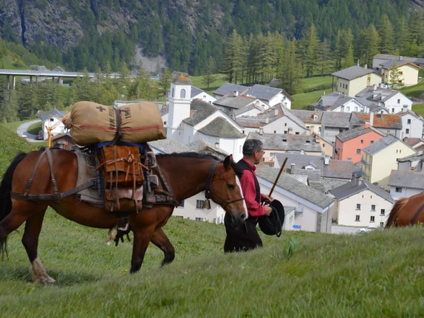 Säumer Trekking auf dem Simplon Säumer Trekking auf dem Simplon