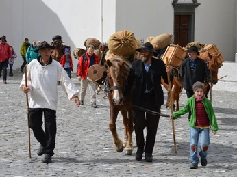 Säumer Trekking auf dem Simplon Säumer Trekking auf dem Simplon