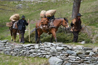Säumer Trekking auf dem Simplon
