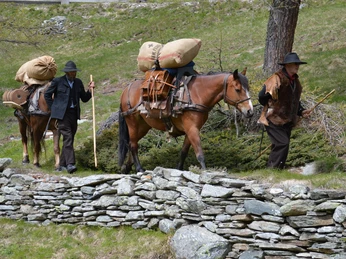 Säumer Trekking auf dem Simplon Säumer Trekking auf dem Simplon