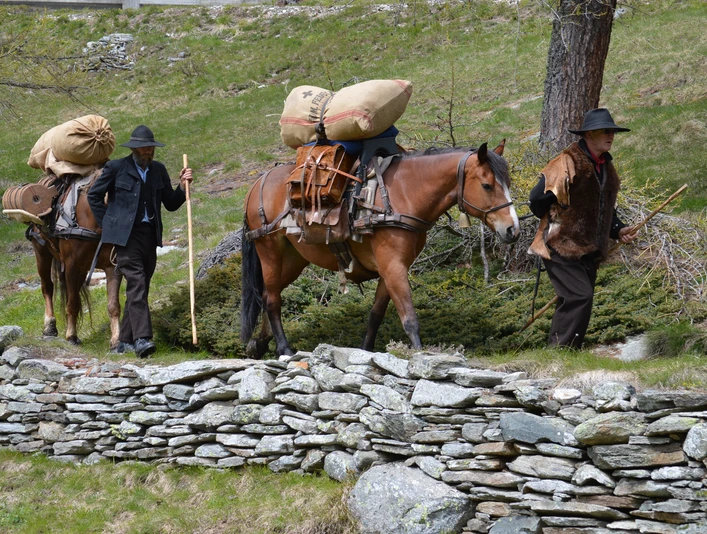 Säumer Trekking auf dem Simplon Säumer Trekking auf dem Simplon
