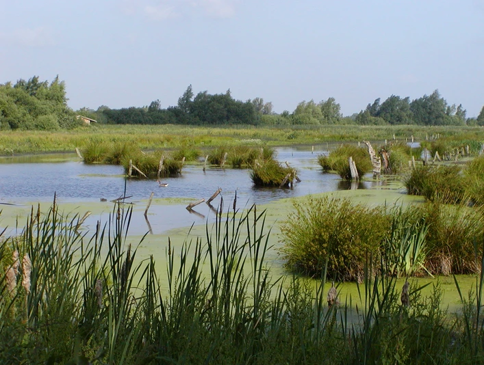 OLYMPUS DIGITAL CAMERA OLYMPUS DIGITAL CAMERAOLYMPUS DIGITALKAMERAOLYMPUS DIGITALE CAMERA