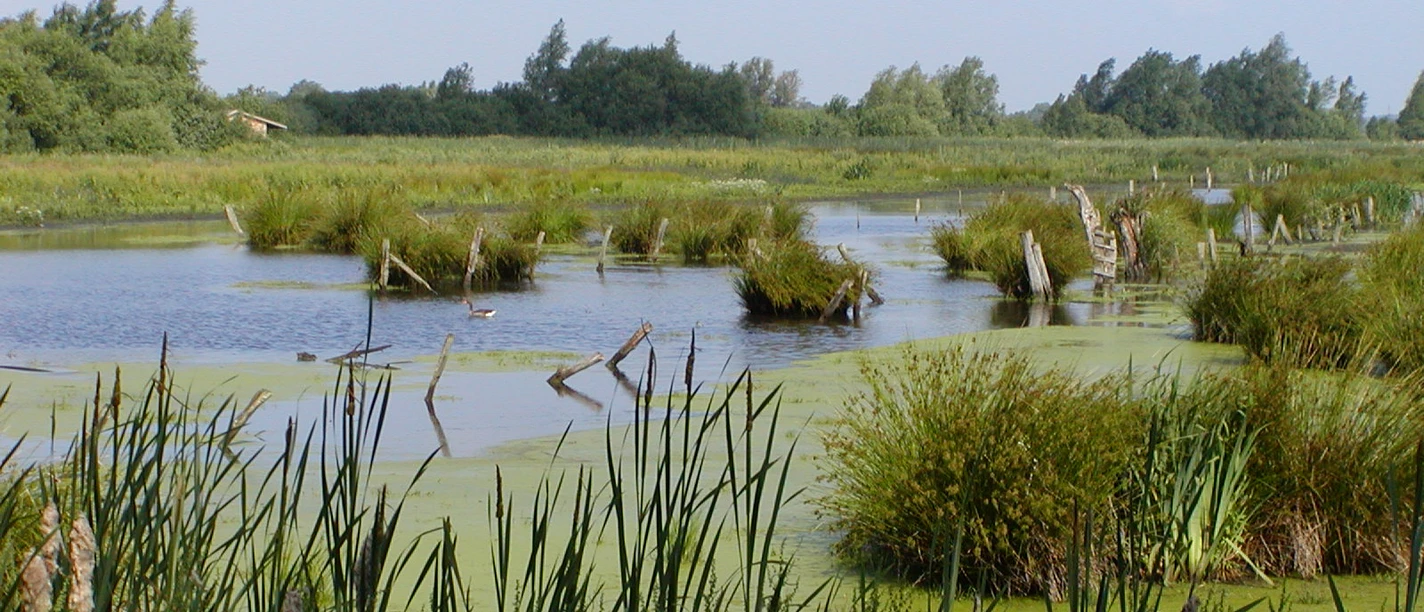 Meerbruch OLYMPUS DIGITAL CAMERA