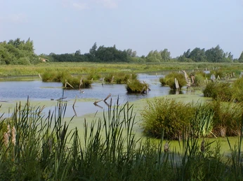 Meerbruch OLYMPUS DIGITAL CAMERA OLYMPUS DIGITAL CAMERAOLYMPUS DIGITALKAMERAOLYMPUS DIGITALE CAMERA