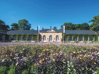 Bunte Blumen blühen vor der Brunnenarkade im Gräflichen Park.