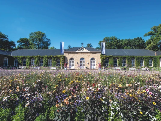 Bunte Blumen blühen vor der Brunnenarkade im Gräflichen Park.