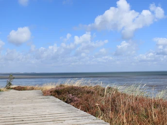 Holzweg in der Braderuper Heide