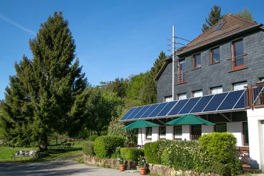 Cafe im Grünen Ein Café mit Sonnenschirmen und Solarpaneelen vor einem Wald, umgeben von Pflanzen und einem Baum.