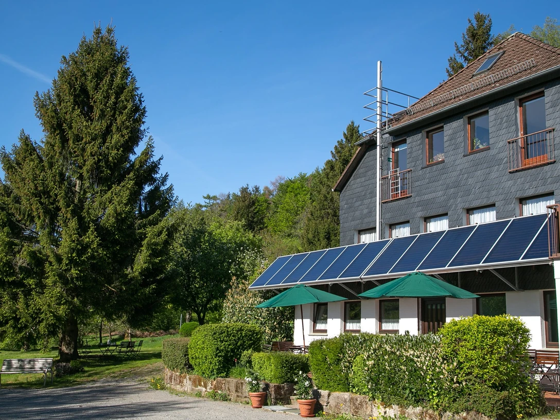 Cafe im Grünen Ein Café mit Sonnenschirmen und Solarpaneelen vor einem Wald, umgeben von Pflanzen und einem Baum.