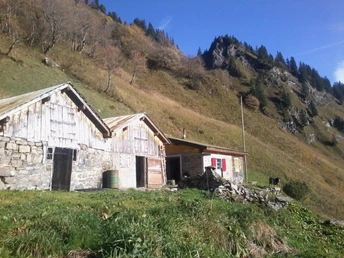 Kraienalp