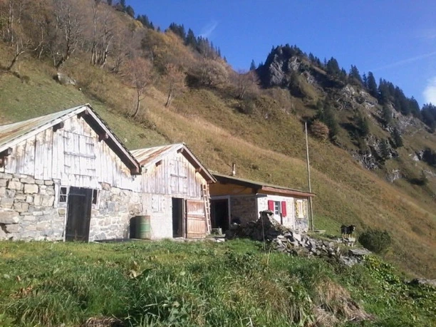 Kraienalp