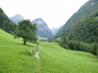 Der Weg streift durch die wunderbare Isenthaler Landschaft