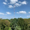 Langenberger Sender / WDR-Sendemast auf dem Hordtberg in Velbert-Langenberg Der WDR-Sendemast erhebt sich über den bewaldeten Hordtberg in Velbert-Langenberg unter blauem Himmel.