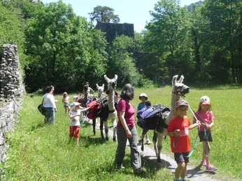 lamatrekking-jungfrauregion-lamas-kinder-ruine-weissenau-sommer.jpg