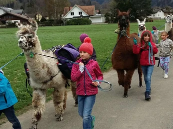 lamatrekking-jungfrauregion-lamas-kinder-unterwegs-wilderswil.jpg