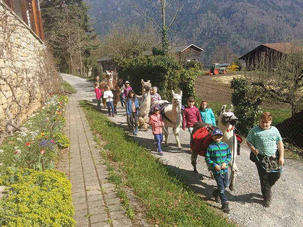 lamatrekking-jungfrauregion-unterwegs-kinder-lamas-karavane.jpg