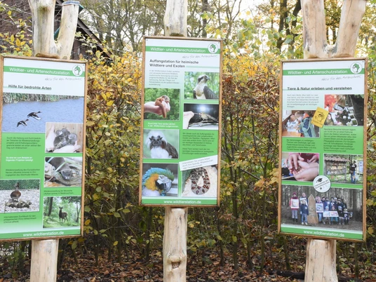 Hinweistafeln der Wildtier- und Artenschutzstation e.V. mit Informationen zu Tierarten und Schutzmaßnahmen.