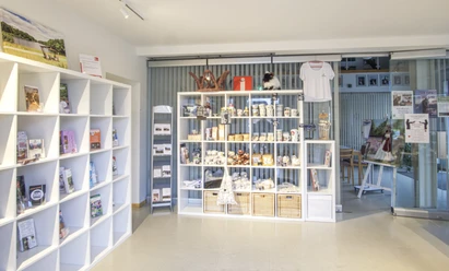 Innenansicht In einem hellen Raum mit modernen, weißen Regalen werden lokale Produkte und Souvenirs stilvoll präsentiert. Ein großes Schiebetor aus Glas im Hintergrund trägt zur offenen und einladenden Atmosphäre bei.