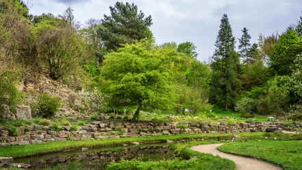 botanischer_garten_c_Basotxerri.jpg