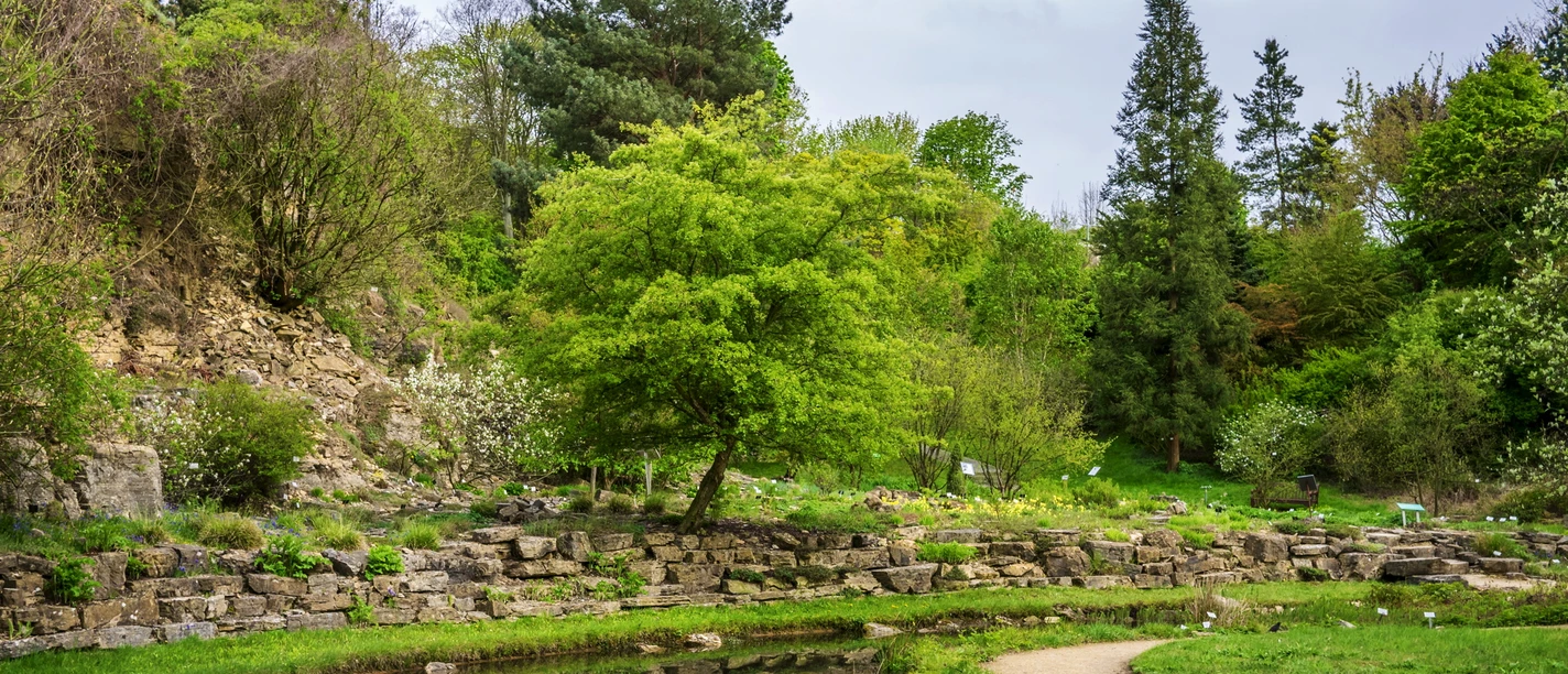 botanischer_garten_c_Basotxerri.jpg