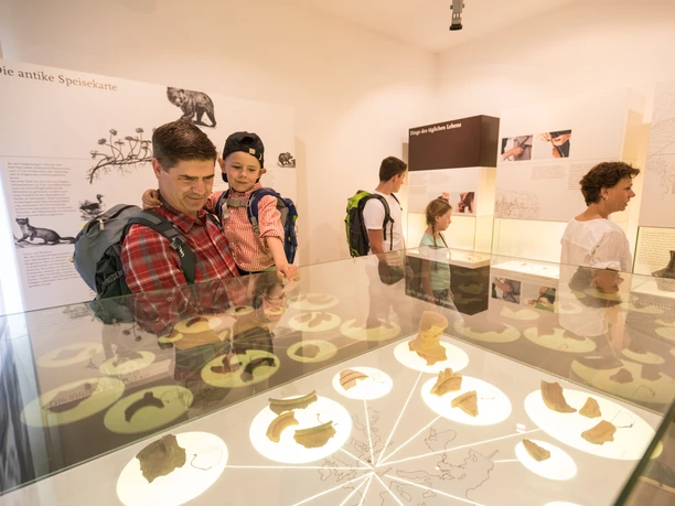 Römisches Museum Haus Bürgel in Monheim am Rhein Vater und Sohn betrachten im Römischen Museum Haus Bürgel fasziniert antike Artefakte in einer Vitrine.