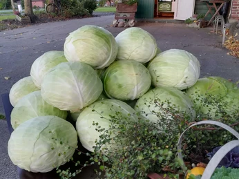 Helserdieker Hofladen Kohl